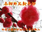 ֹ,󷨵ӹףʦ(28)