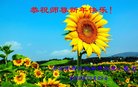 ֹ,ӱ󷨵ӹףʦ(26)