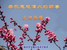 ֹ,㶫󷨵ӹףʦ(29)