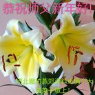 ֹ,ȷ󷨵ӹףʦ(27)