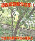 ֹ,󷨵ӹףʦ(22)