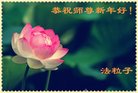 ֹ,󷨵ӹףʦ(28)