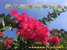 ֹ,żҿڴ󷨵ӹףʦ(22)