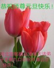 ֹ,ӱ󷨵ӹףʦ(25)