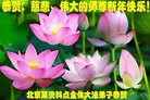 ֹ,󷨵ӹףʦ(19)