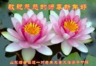 法轮功,山东大法弟子恭祝师尊新年好(19条)
