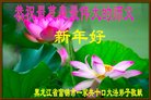 法轮功,佳木斯大法弟子恭祝师尊新年好(25条)