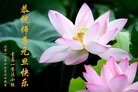 ֹ,ൺ󷨵ӹףʦ(26)