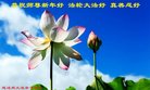 ֹ,ʡ󷨵ӹףʦ(21)