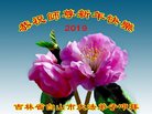 ֹ,ʡ󷨵ӹףʦ(21)