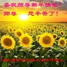 ֹ,ӱ󷨵ӹףʦ(26)