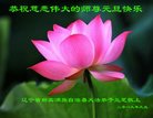 法轮功,辽宁大法弟子恭祝师尊新年好(22条)