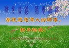 法轮功,云南大法弟子恭祝师尊新年好(19条)