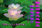 ֹ,ӱ󷨵ӹףʦ(23)