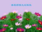 法轮功,唐山大法弟子恭祝师尊新年好(27条)