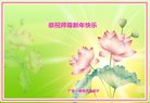 法轮功,广东大法弟子恭祝师尊新年好(29条)