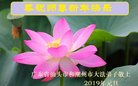 法轮功,广东大法弟子恭祝师尊新年好(29条)