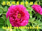 ֹ,󷨵ӹףʦ(22)