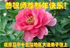 ֹ,󷨵ӹףʦ(22)