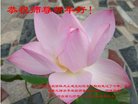 ֹ,ȷ󷨵ӹףʦ(25)