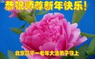 ֹ,󷨵ӹףʦ(22)