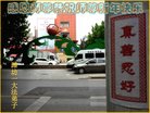 法轮功,潍坊大法弟子恭祝师尊新年好(24条)