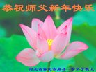 法轮功,保定大法弟子恭祝师尊新年好(24条)