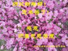 ֹ,󷨵ӹףʦ(23)