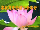 ֹ,㶫󷨵ӹףʦ(29)