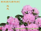 ֹ,Ϋ󷨵ӹףʦ(28)
