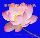 ֹ,󷨵ӹףʦ(31)