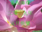 ֹ,󷨵ӹףʦ(23)