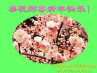 ֹ,󷨵ӹףʦ(23)