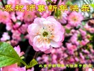 ֹ,󷨵ӹףʦ(23)