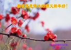 法轮功,大庆大法弟子恭祝师尊新年好(23条)