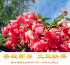 ���ֹ�,�Ĵ��󷨵��ӹ�ףʦ�������(24��)