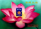 法轮功,云南大法弟子恭祝师尊新年好(19条)