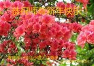ֹ,ൺ󷨵ӹףʦ(24)