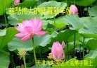 ֹ,󷨵ӹףʦ(25)