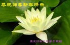 ֹ,󷨵ӹףʦ(23)