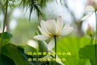 ֹ,ӱ󷨵ӹףʦ(25)