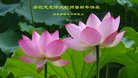 法轮功,佳木斯大法弟子恭祝师尊新年好(22条)