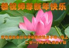 ֹ,żҿڴ󷨵ӹףʦ(20)