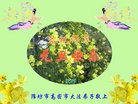 ֹ,ɽش󷨵ӹףʦ(39)