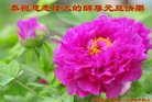 ֹ,ʯׯ󷨵ӹףʦ(23)
