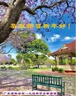法轮功,广东大法弟子恭祝师尊新年好(25条)