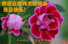 法轮功,张家口大法弟子恭祝师尊新年好(25条)