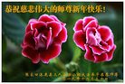 法轮功,张家口大法弟子恭祝师尊新年好(25条)