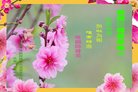 ֹ,󷨵ӹףʦ(32)