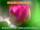 ֹ,ӱ󷨵ӹףʦ(27)